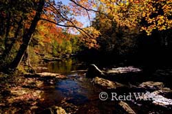 "The Beauty of Fall In The Carolinas" contains various autumn scenes fron the mountains and coast of both North and South Carolina.  waterfalls, live oaks, river scenes, coastal scenes, sunset
