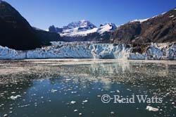 In the Glacier Bay gallery you can view scenes of the glaciers of Tarr and Johns Hopkins Inlets of Glacier Bay National Park.