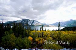 Alpine Paradise - Skagway/Yukon