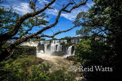 Lower Trail View - Iguazu Falls