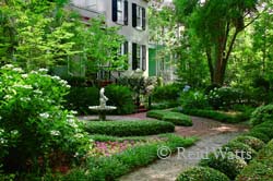 Charleston Garden - Souther Flowers