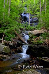 Twin Falls on Henry Branch - Buckhorn Gap Trail, NC