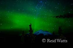 Starry Starry Night - Mt Drum and Summer Northern Lights